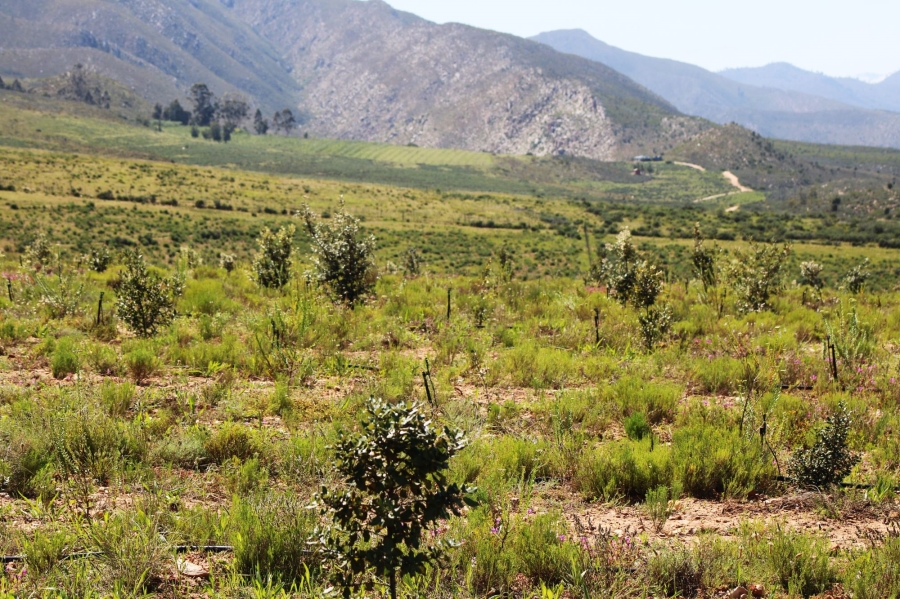 0 Bedroom Property for Sale in Uniondale Rural Western Cape